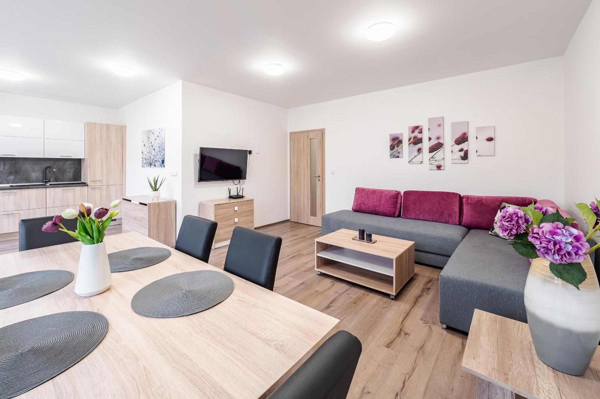 Private Luxury Apartments - Apartman G3 Frymburk Exterior photo